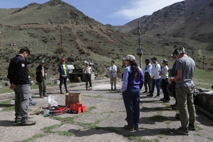 Removieron plantas de rosa mosqueta en Vallecitos para mejorar la seguridad hídrica del río Mendoza