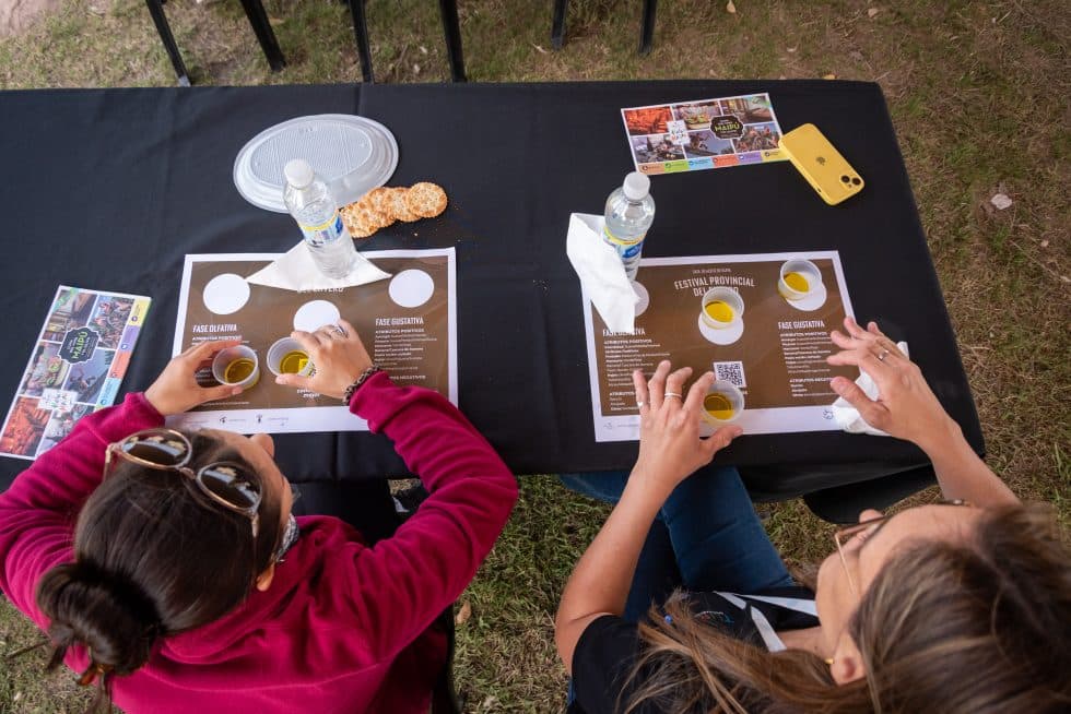 Mendoza celebra el festival olivícola del Envero