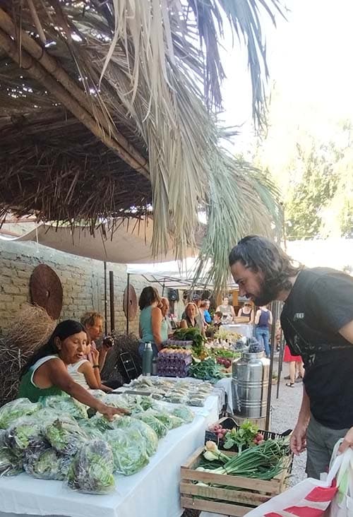 2 fechas para una feria agroecológica en Chacras.
